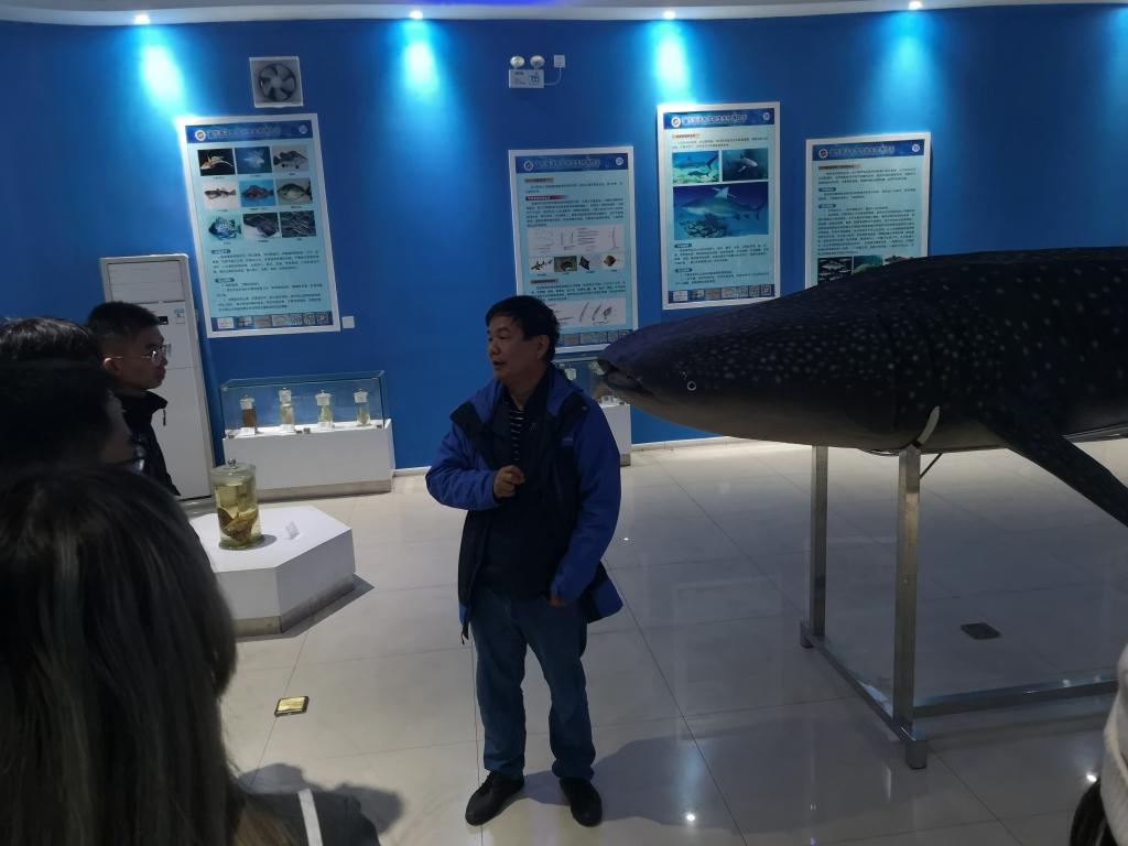 英国威廉集团官网