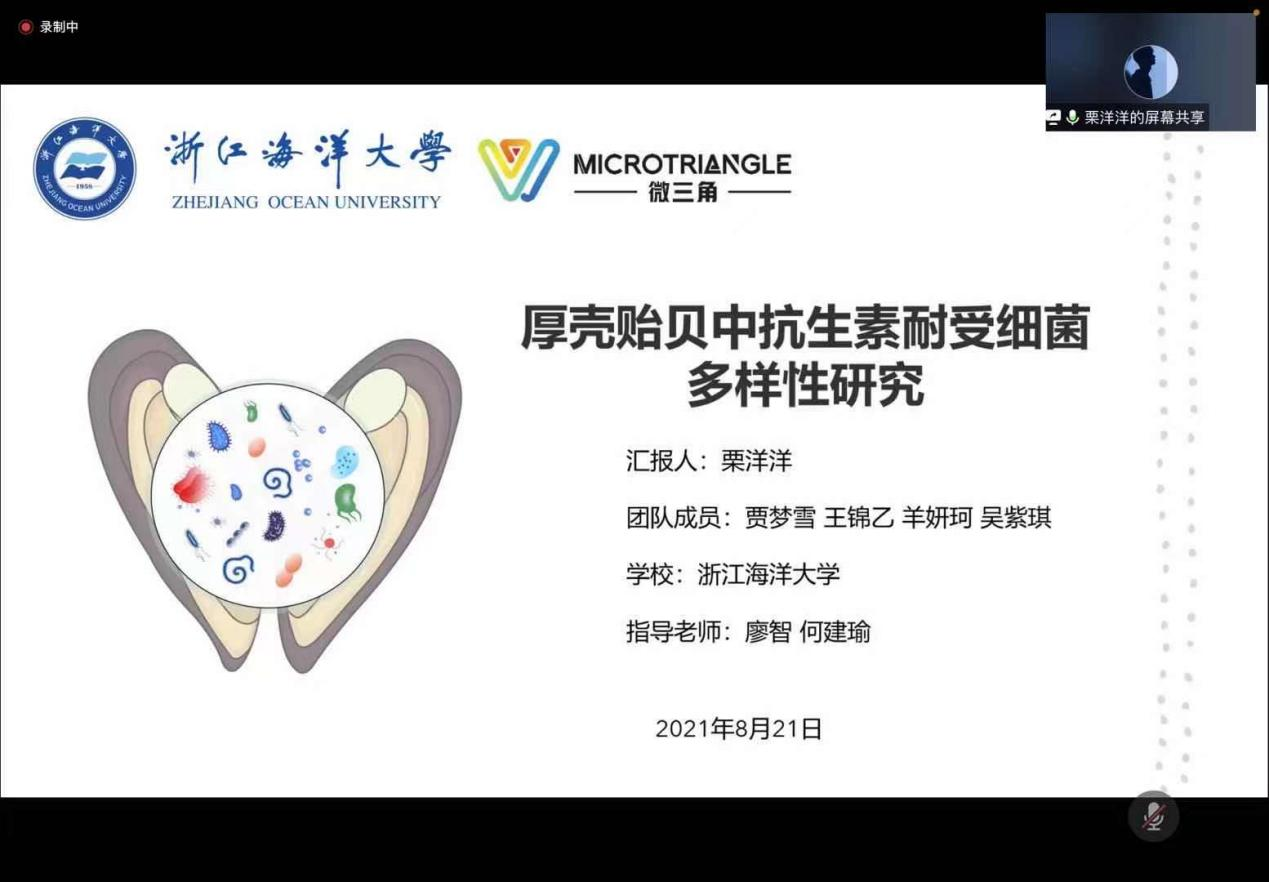 英国威廉集团官网