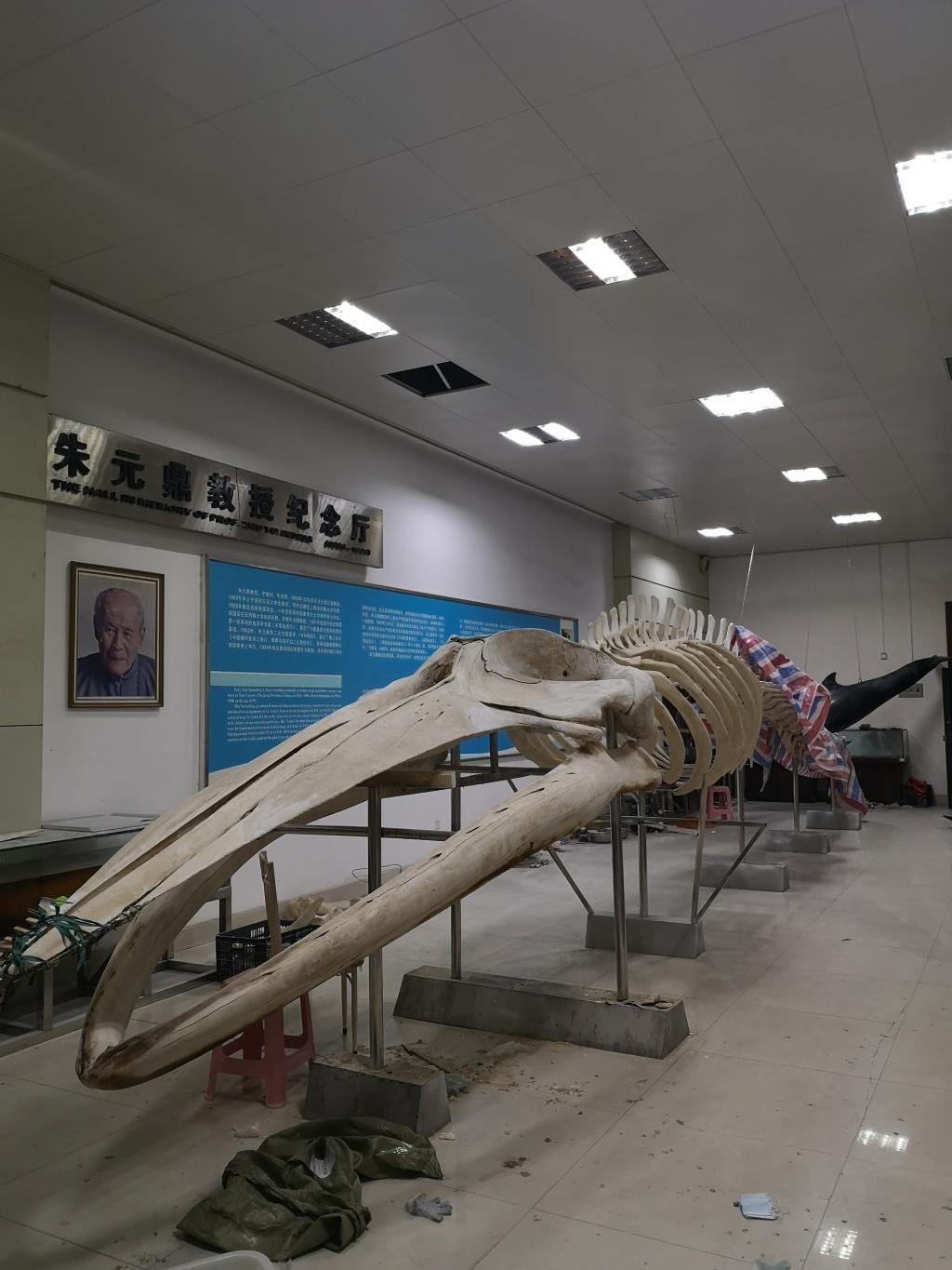 英国威廉集团官网