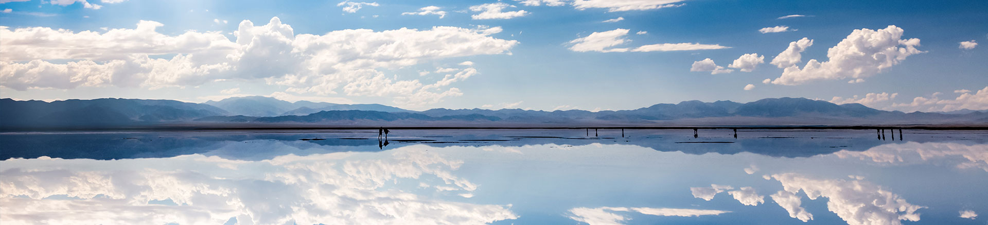 英国威廉集团官网